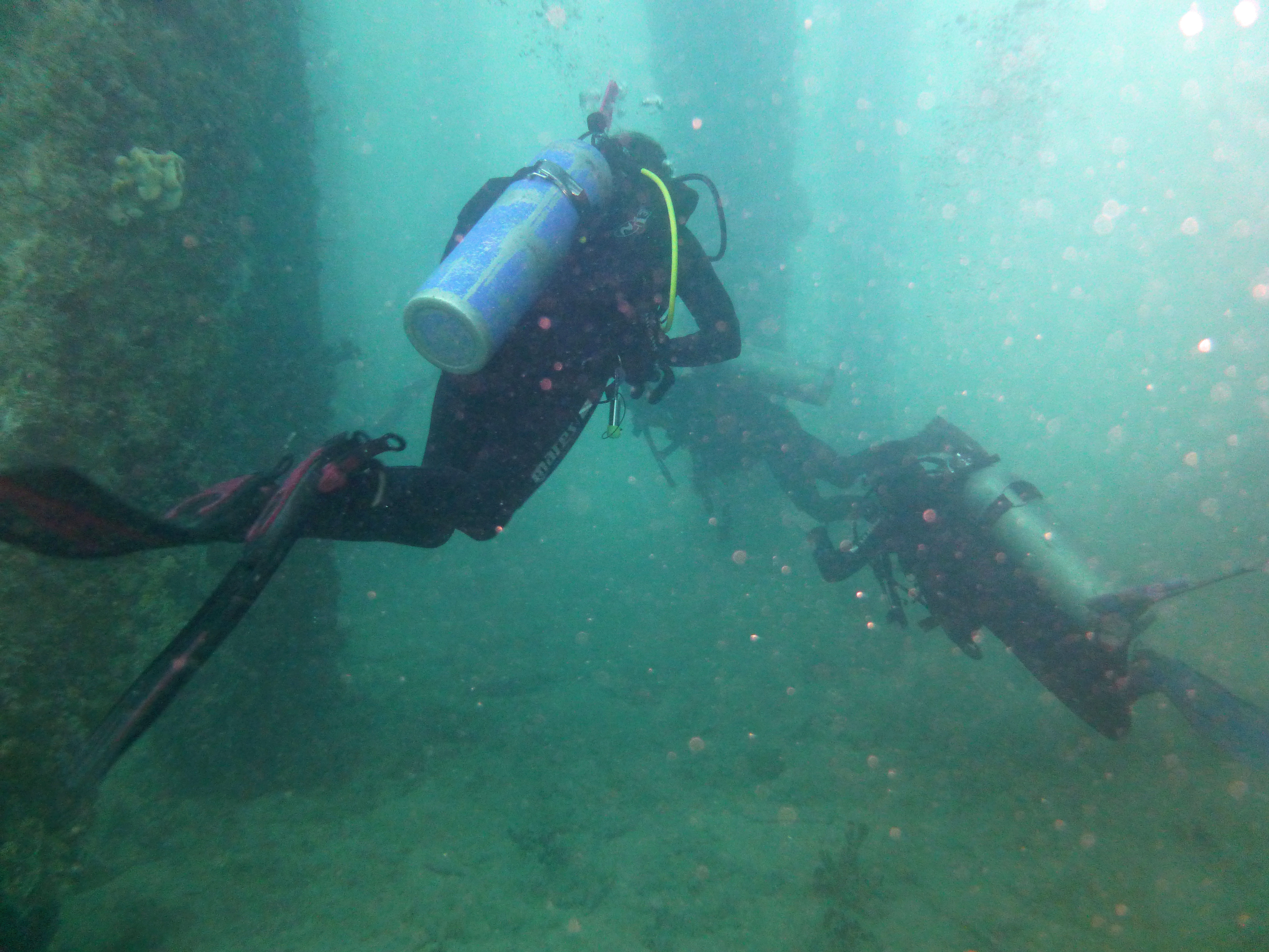 Diving under Mosquito Pier, Vieques 2022.