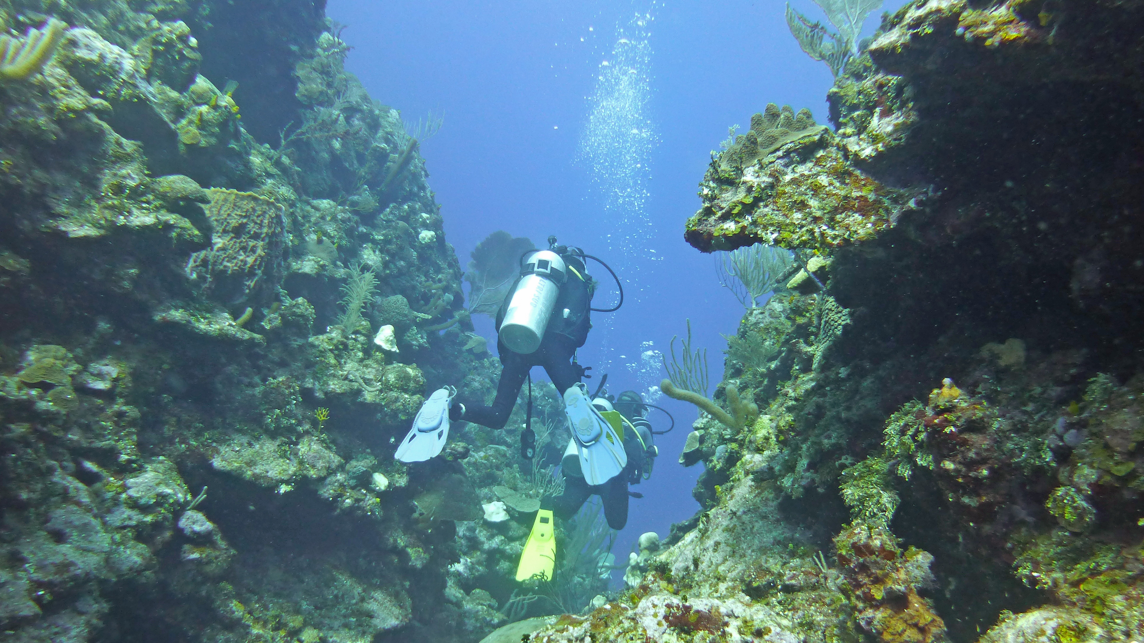 Ricardo and Zara swim through at Hole in the Wall, Roatan 2019.