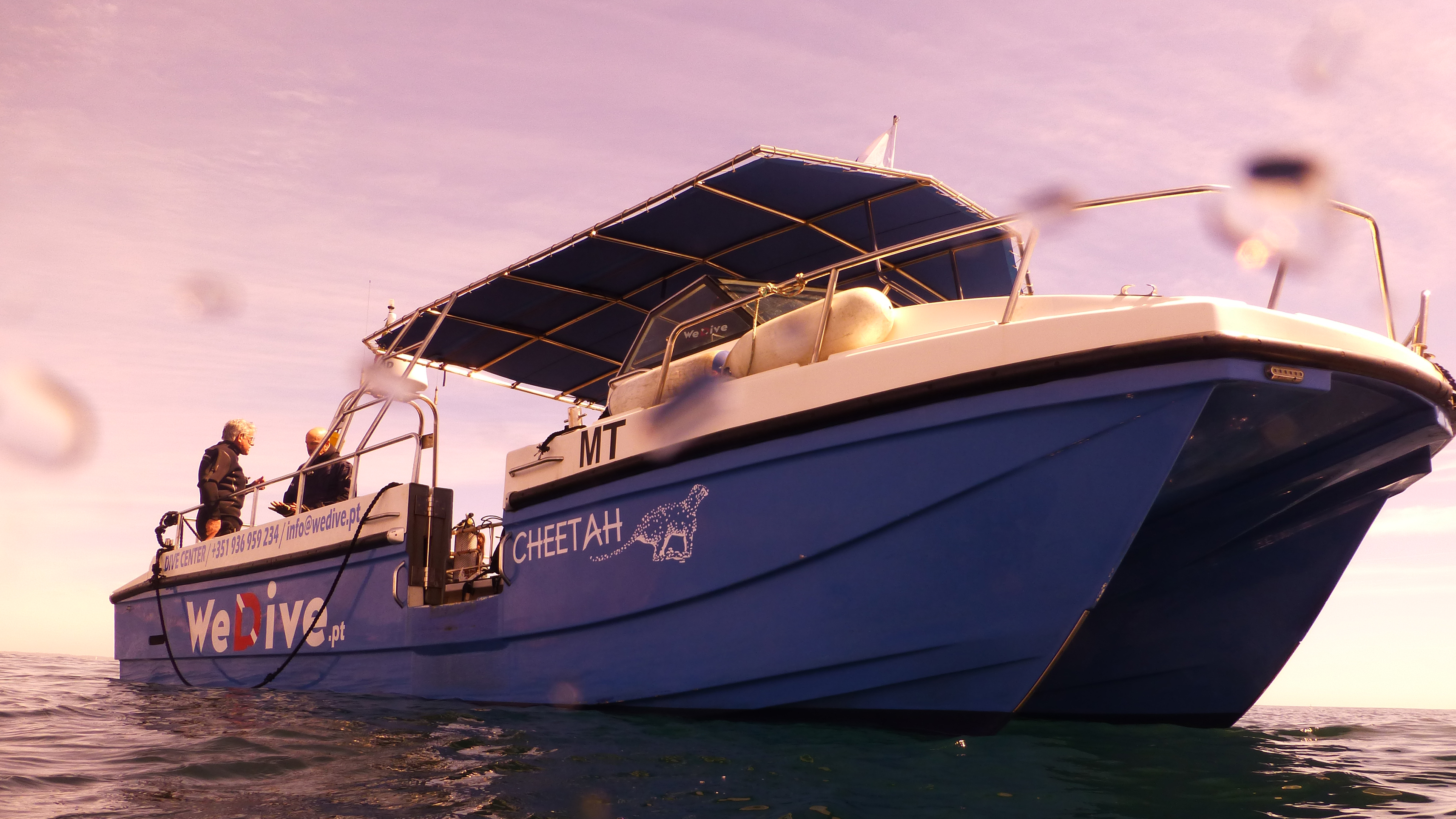Cheetah with We Dive Lagos, Portugal 2023.