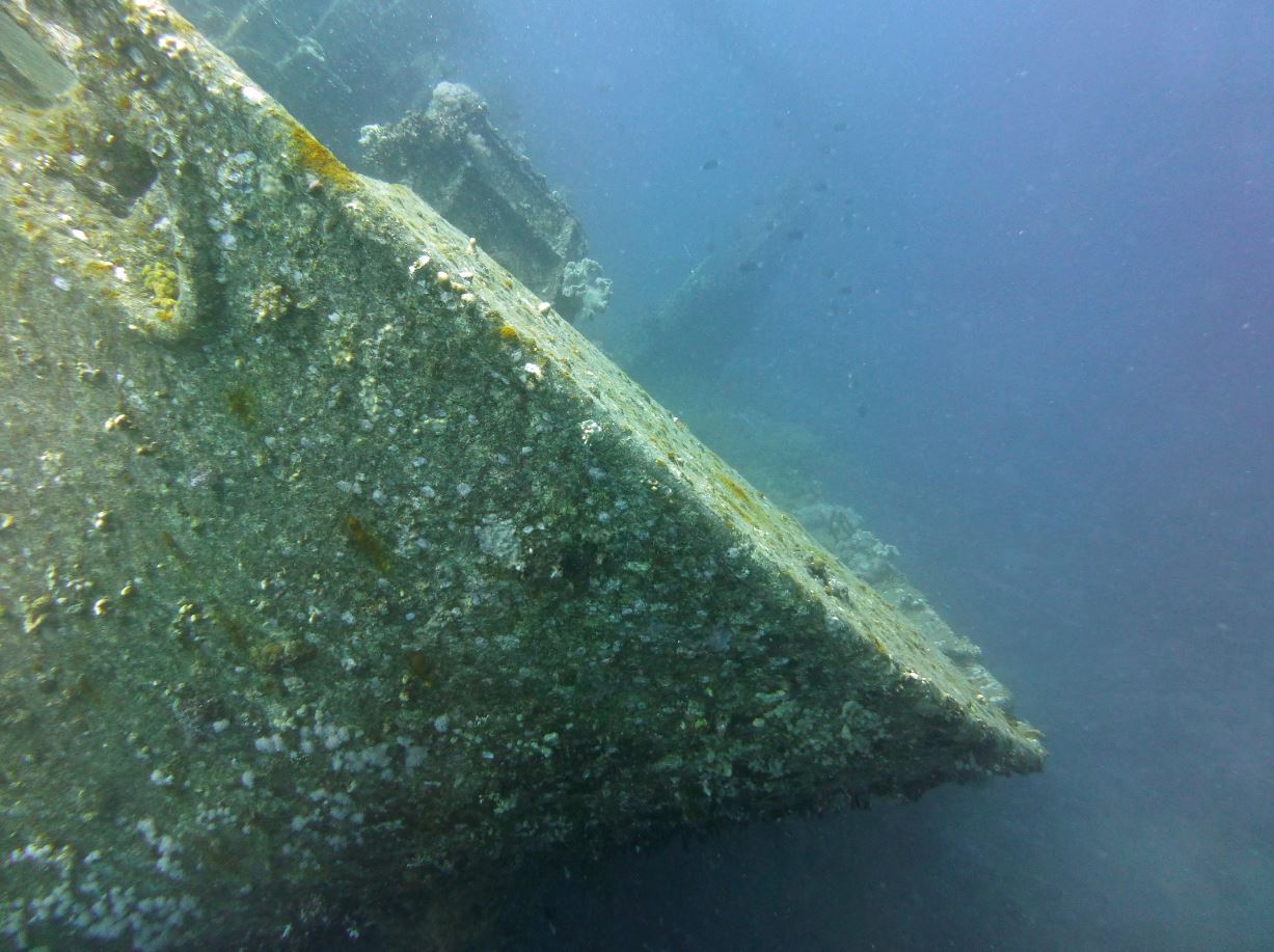 Bow of the Cedar Pride, 2019.