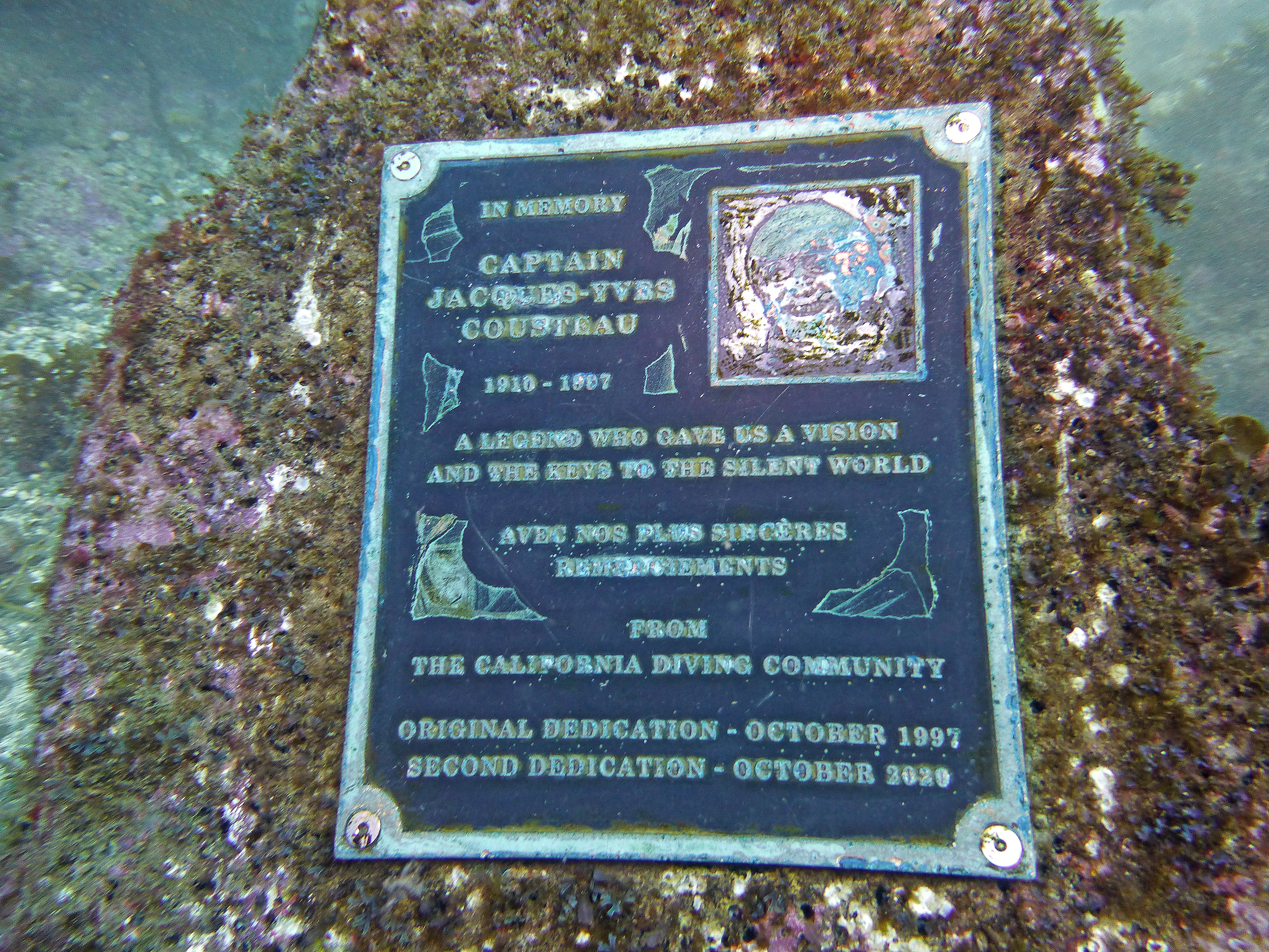 Cousteau New Plaque memorial, Catalina 2024.