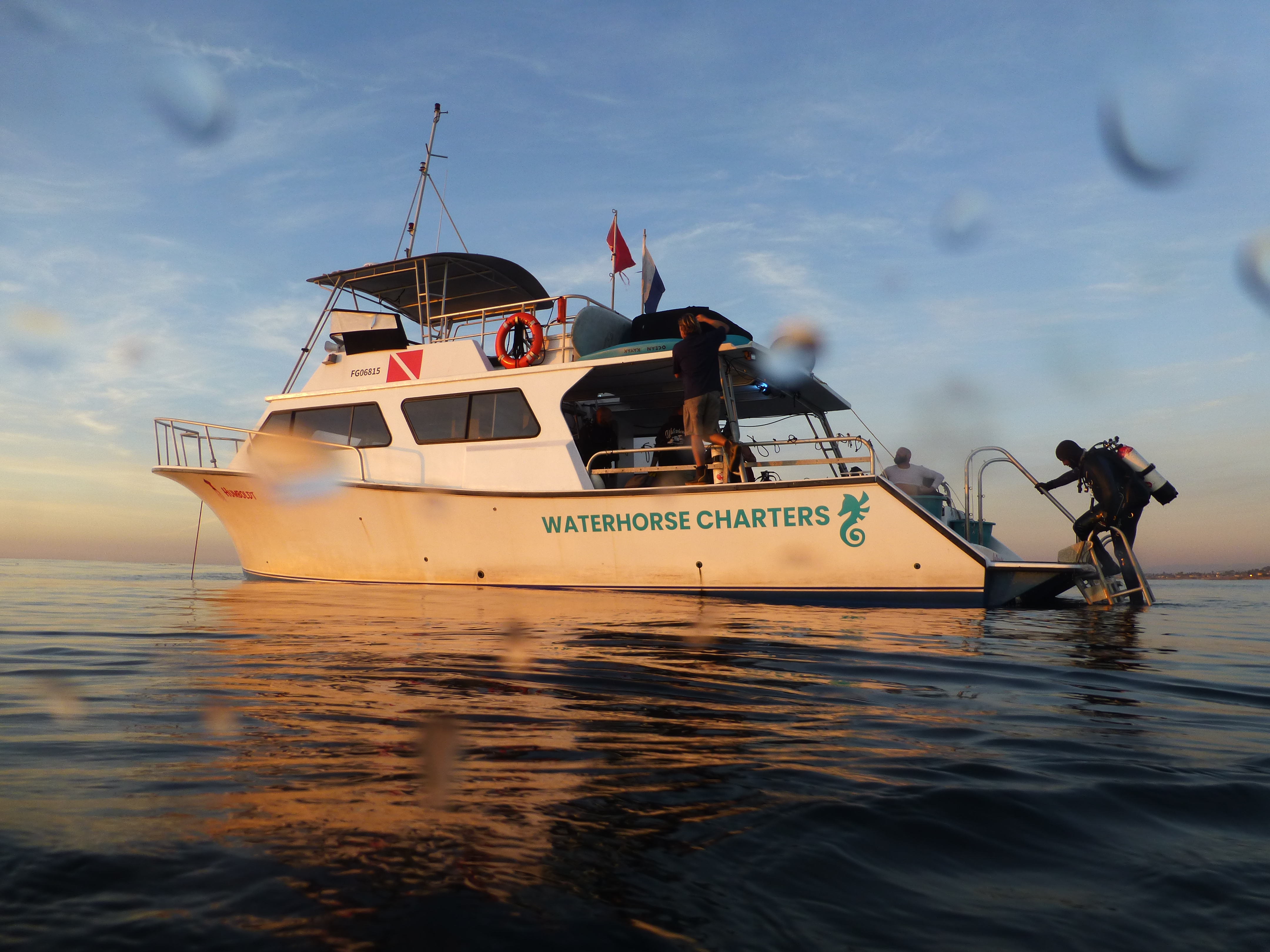 Humboldt by Waterhorse Charters, Point Loma 2023.