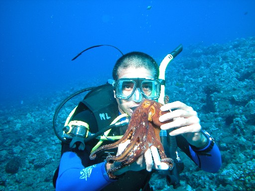 Holding a day octopus, Lanai 2005.