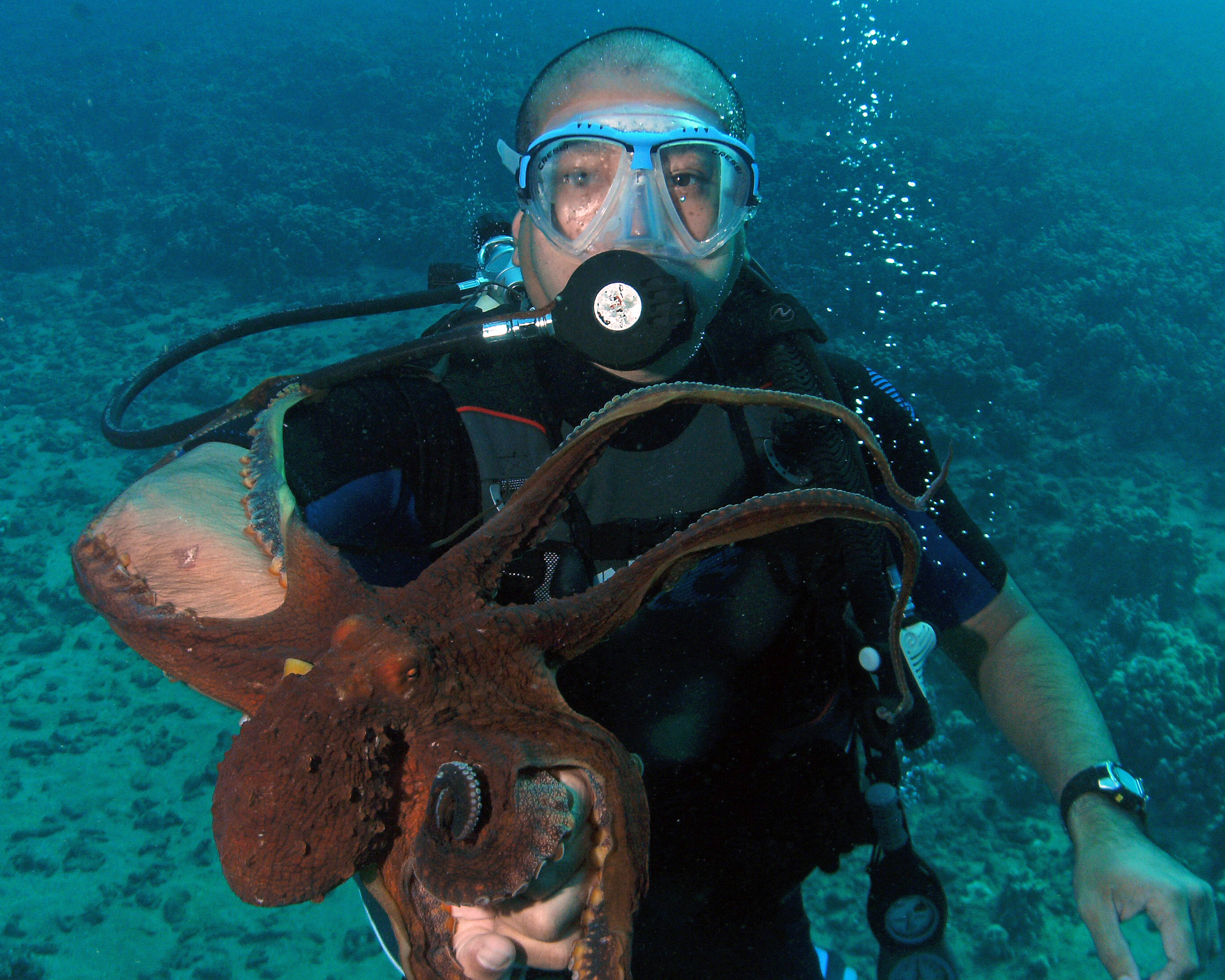 With an octopus, Maui 2011.