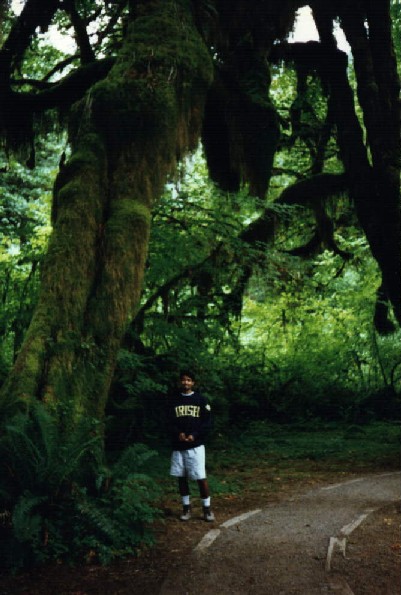 The Moss Trail.